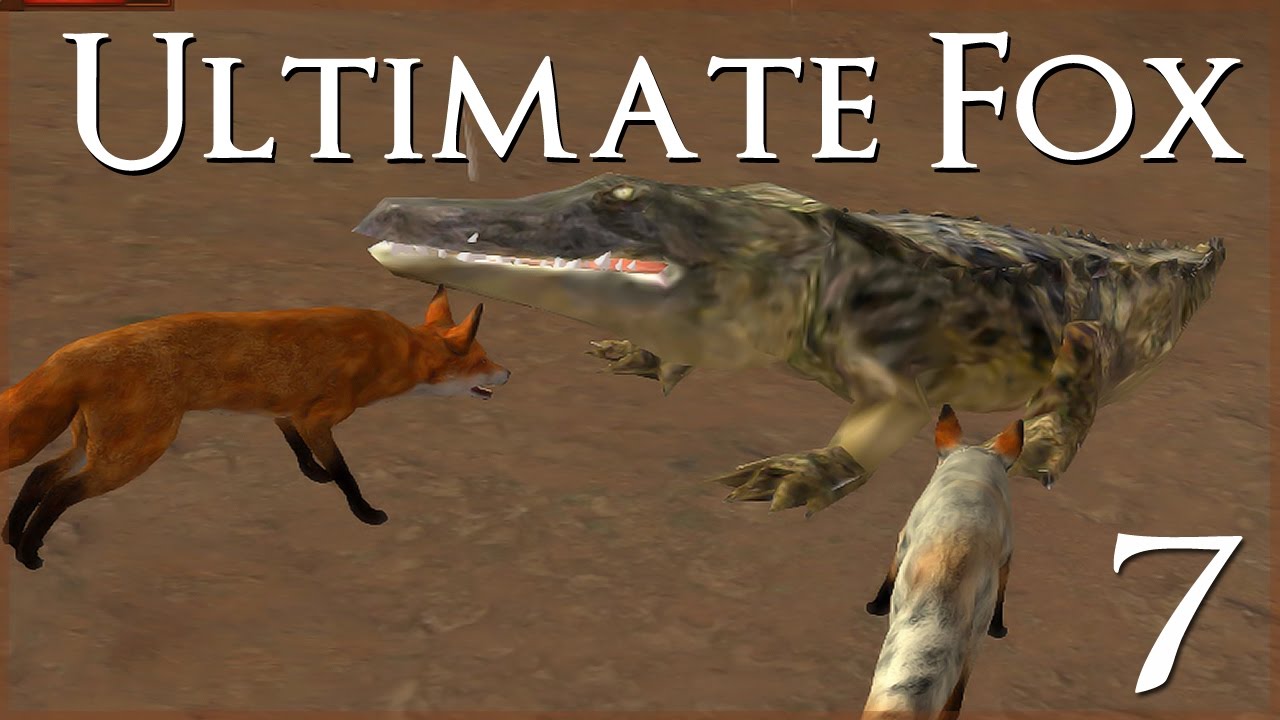 Desert Crocodile Battles?! • Ultimate Fox Simulator - Episode #7