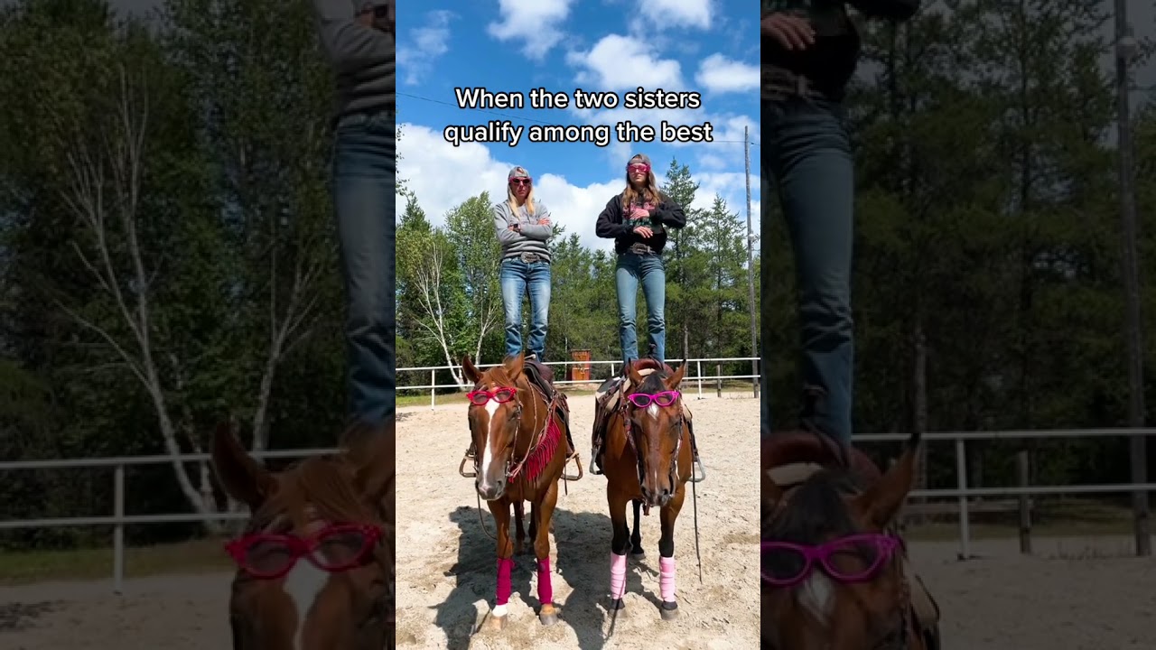 Horses Amazing Cute Very Smart The Moment The Horses With The Owner Are So Wonderful 135