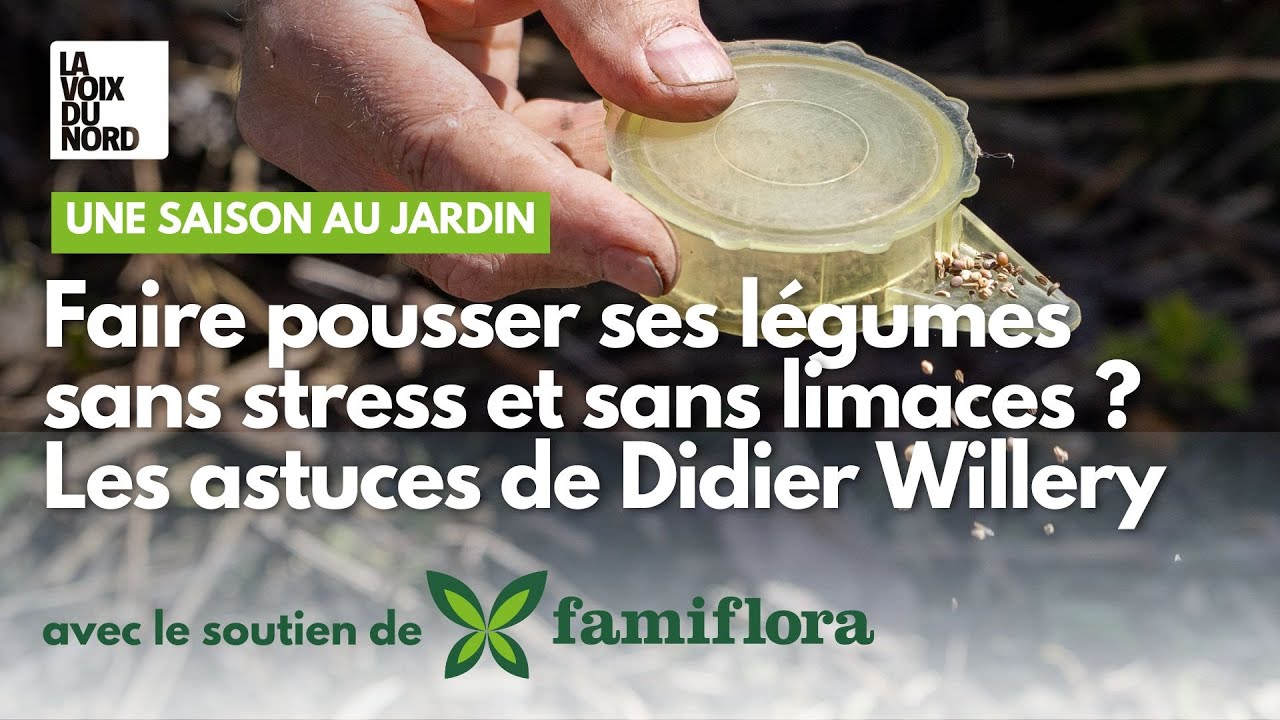 Jardinage : créer un carré potager garanti sans limaces !
