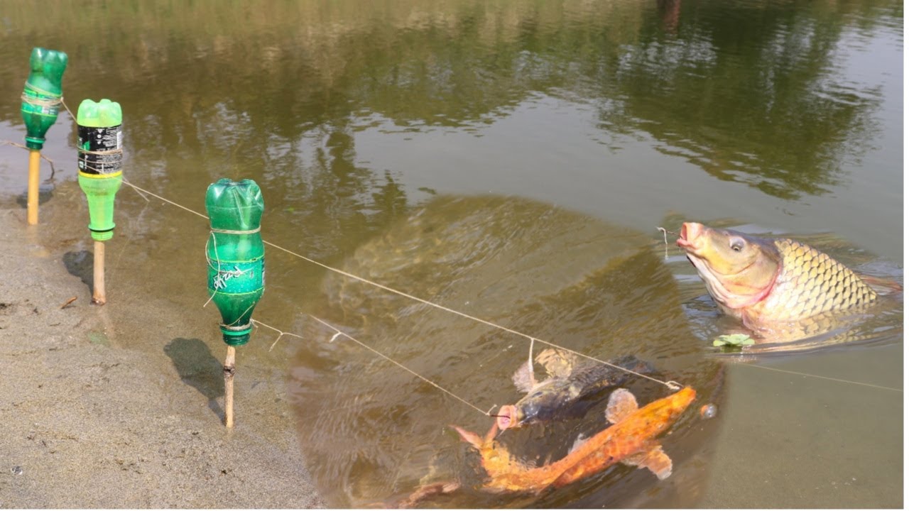 Amazing Fish Trapping System Hook.