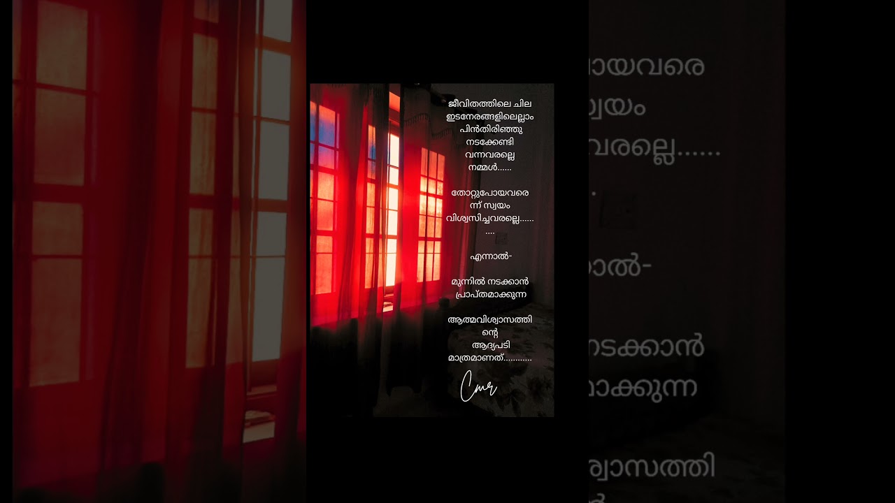 പിൻതിരിഞ്ഞു നടന്ന ഒരു ചുവടുകളും ഒന്നിൻ്റെയും അവസാനമല്ല.....