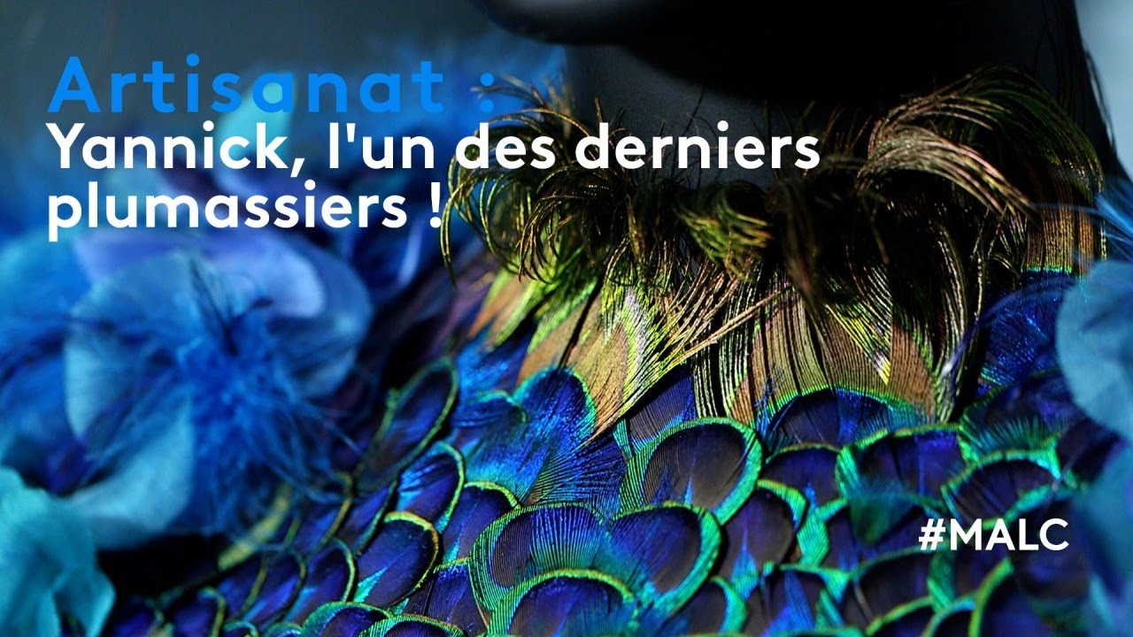 Artisanat : Yannick, l'un des derniers plumassiers !