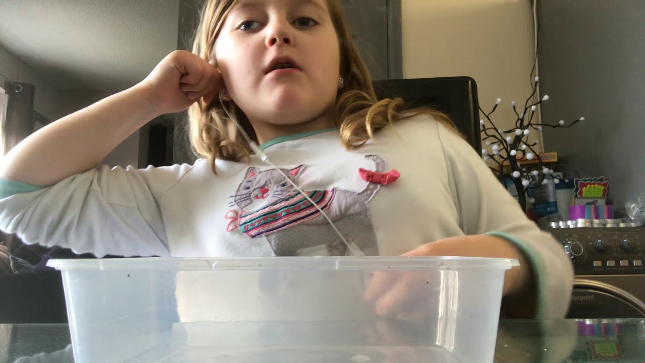 How to make fishball slime