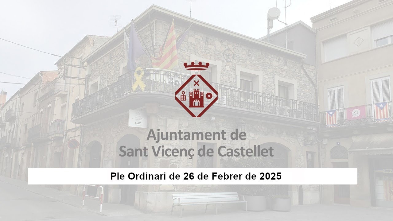 Ple Ordinari del 26 de febrer de 2025