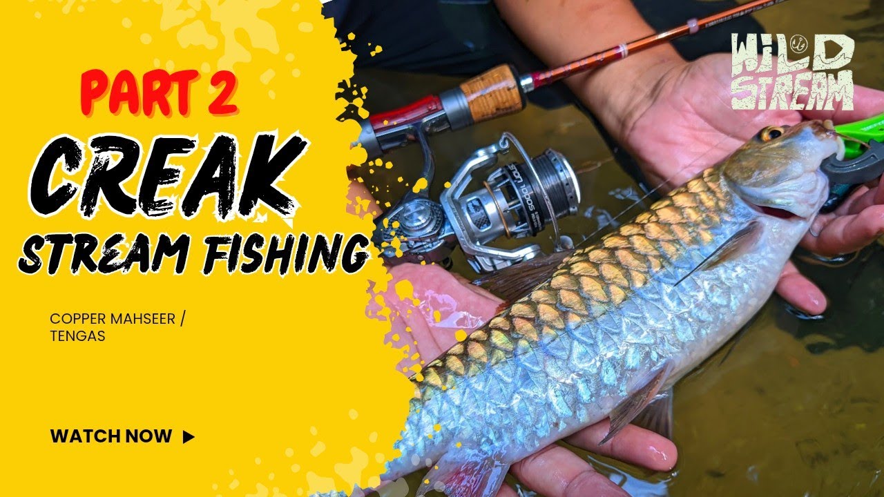 Strike Ikan Tengas Saiz Idaman Kaki Jeram | Malaysia Small Creak PART 2