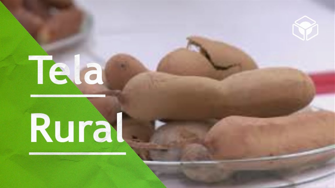 Cura Verde: Tamarindo | TELA RURAL