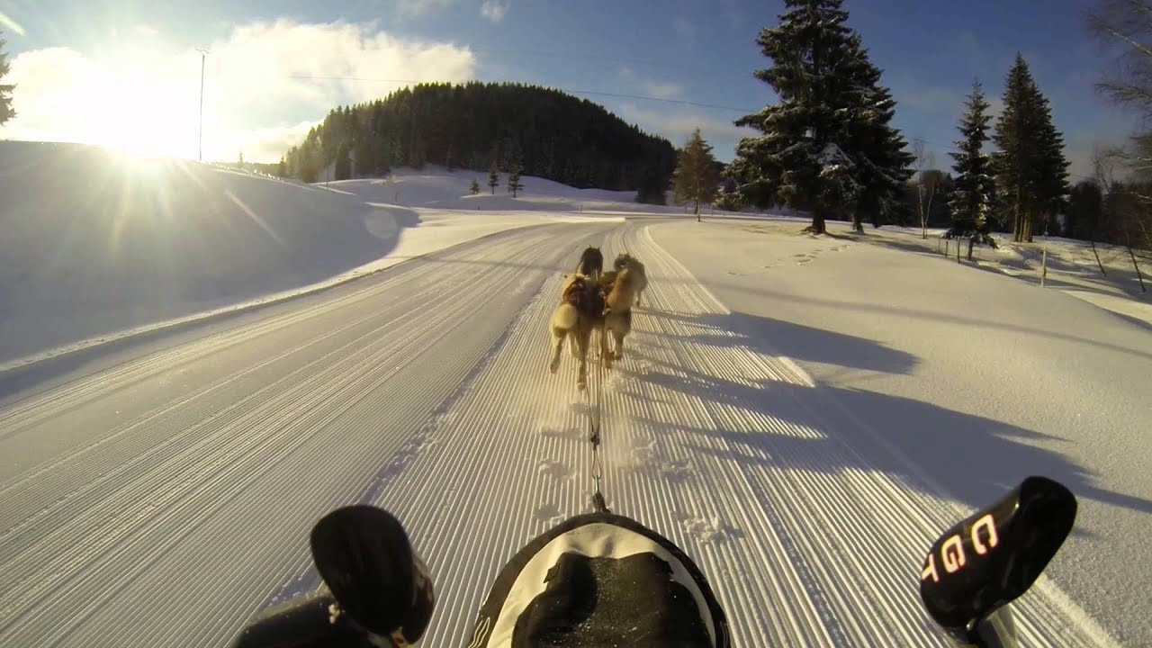 Traîneau - La Pesse Janvier 2016 By StanMushing HD