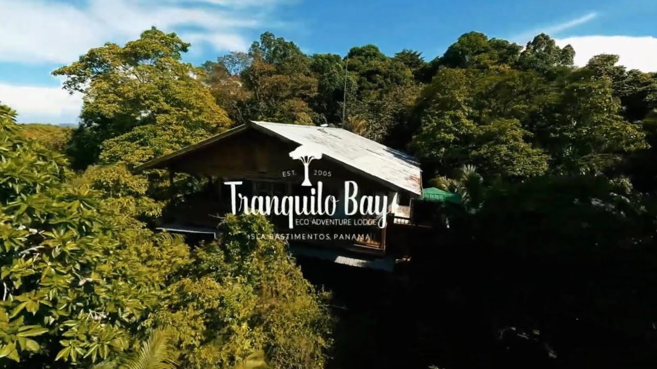 Tranquilo Bay Eco Lodge in Bocas del Toro - Come See Us!