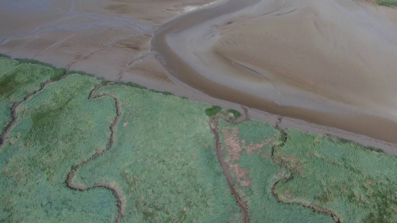 Verdronken land van Saeftinghe