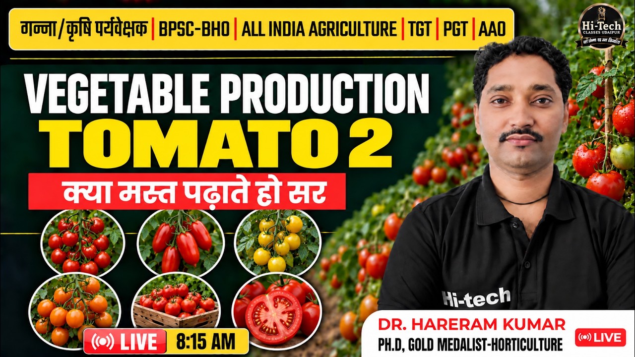 Horticulture for All Agriculture Exams | Vegetable Production - Tomato | टमाटर की खेती Class-2