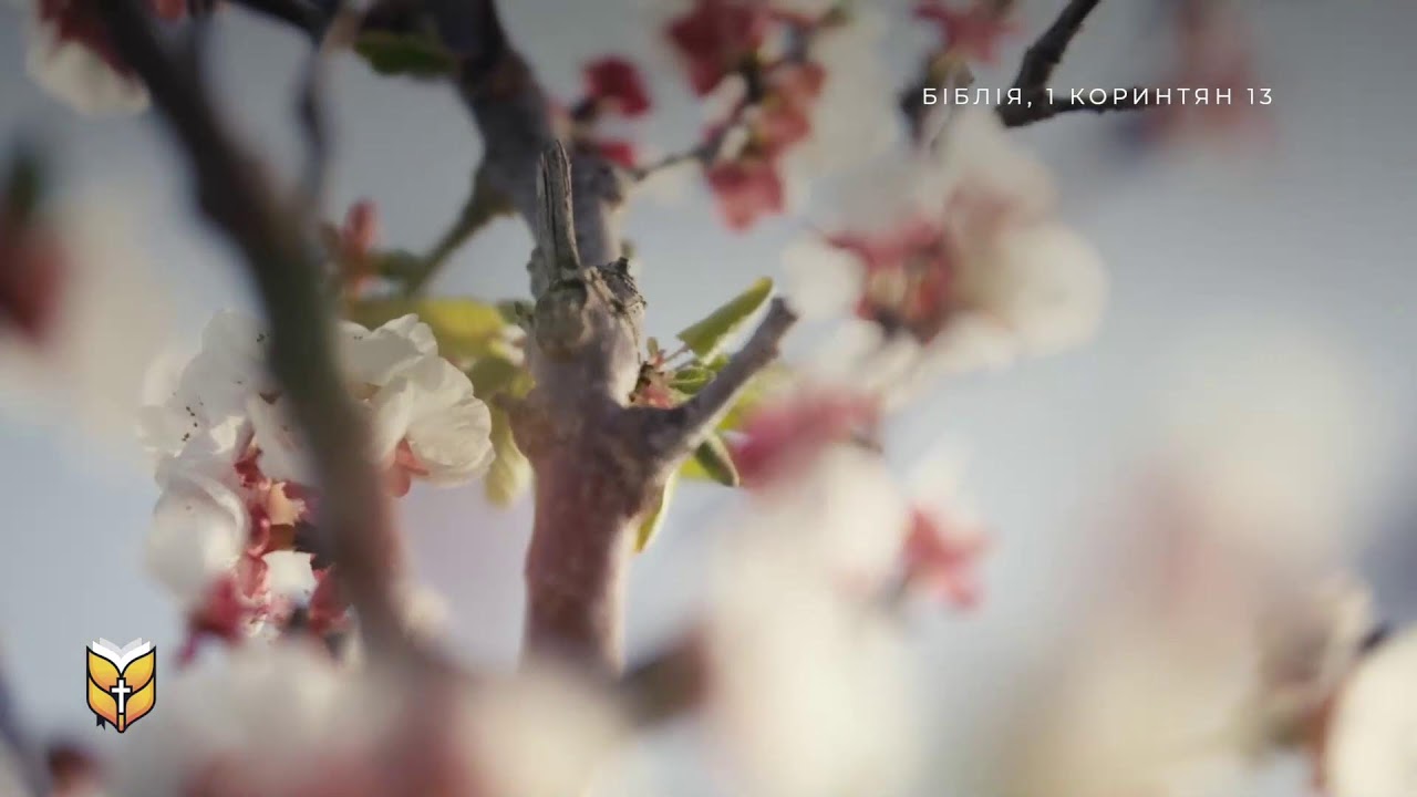 Слово Боже в сучасному перекладі – джерело віри та надії 🔴 BibleVision Наживо 24/7