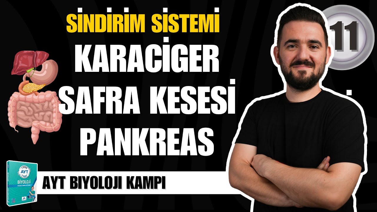 AYT Biyoloji Kampı | 11. GÜN | Karaciğer, Safra Kesesi Pankreas | yks2025
