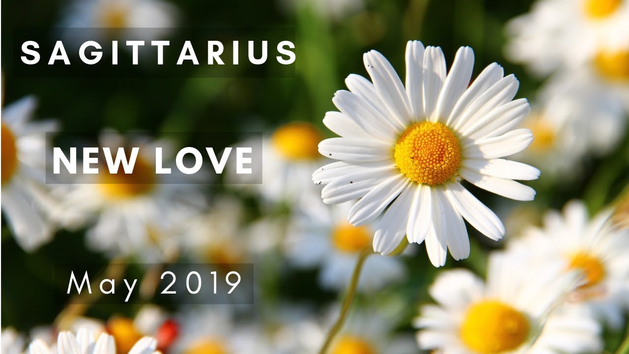 SAGITTARIUS: New Love! May 2019