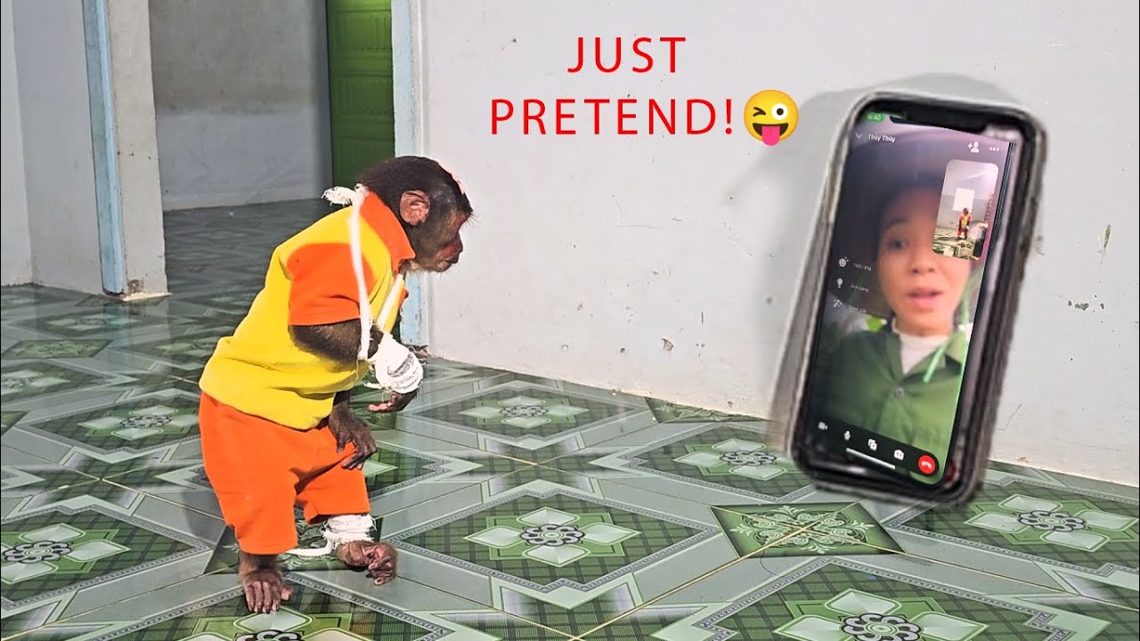 Super Cute Monkey Su Pretends To Be 'Sick' To Be Pampered By His Mom! 🐒💕 | Super Funny Reactions