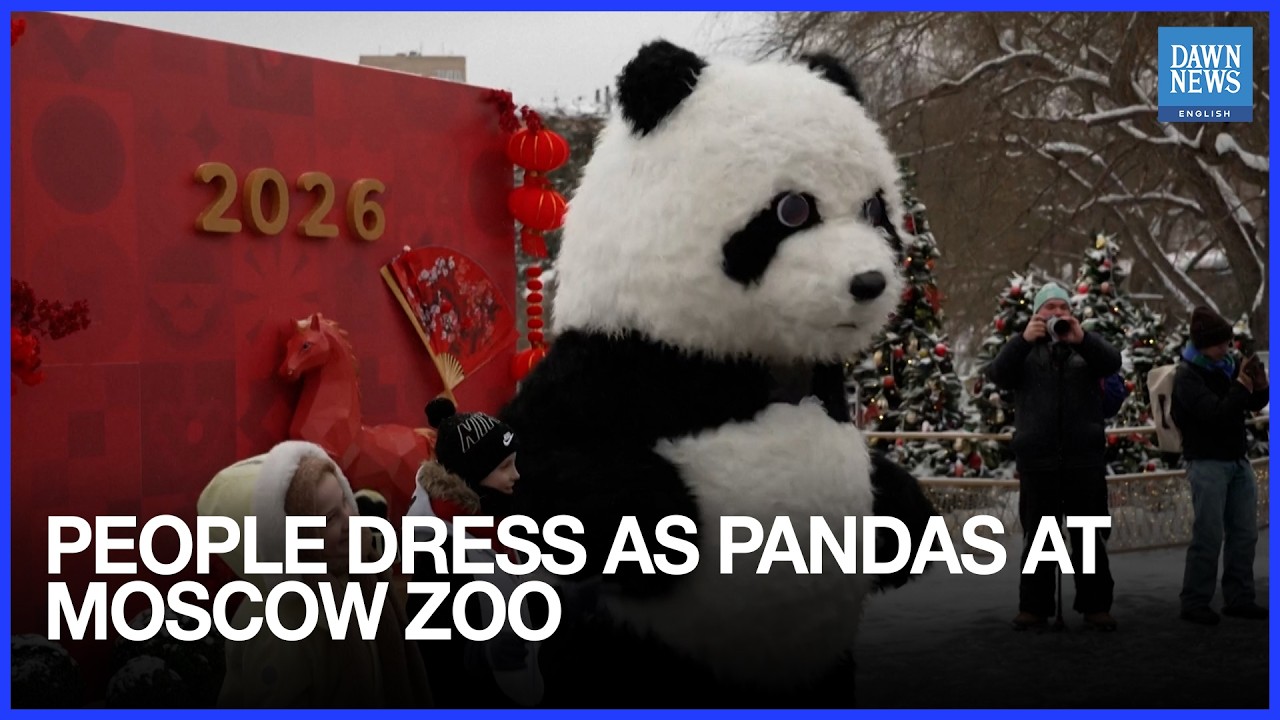 People Dress as Pandas at Moscow Zoo for Chinese New Year | Russia | China