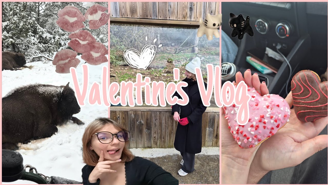[Видеоблог Уилки] Новый проект + День святого Валентина ♡