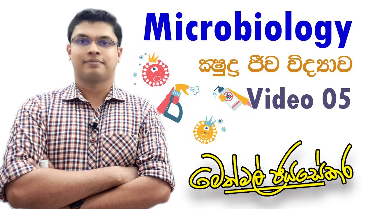 ක්‍ෂුද්‍රජීව විද්‍යාව - Microbiology - Video 05 - A/L Biology