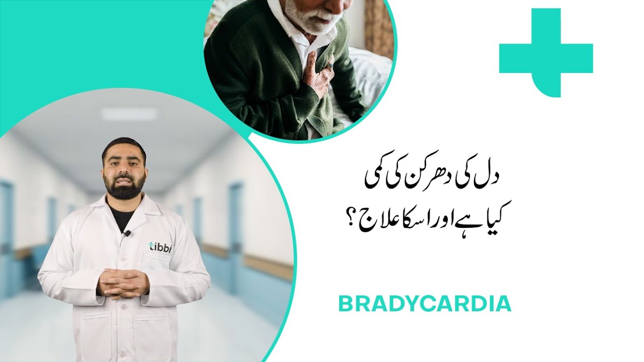 Bradycardia (Slow Heart Rate): Symptoms, Treatment, and More | tibbi
