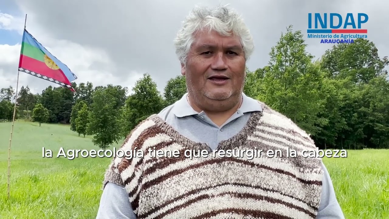 PDTI  Agroecol&oacute;gico Mallolafken - Villarrica