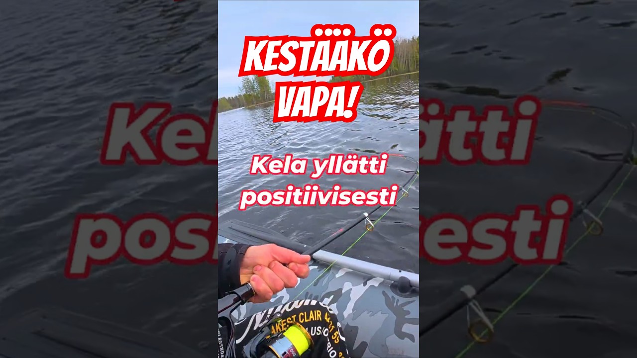 HALPPISSETILLÄ KUHA?! – Ei näin pitänyt mennä 😂🎣