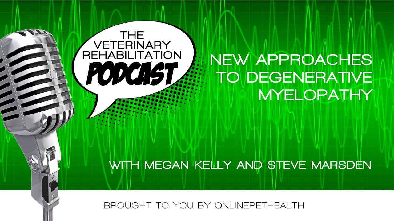 New approaches to Degenerative Myelopathy with Steve Marsden