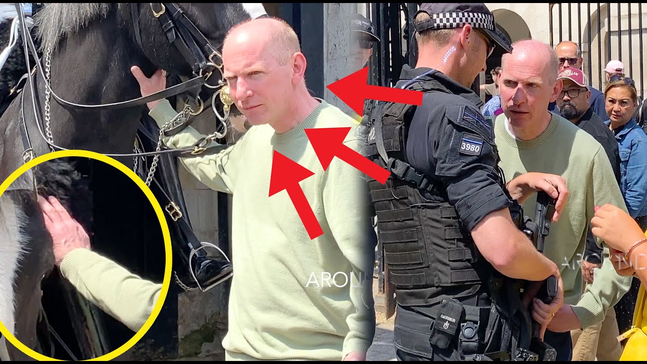 HE DID THIS!! Man DELIBERATELY PROVOKES The Horse and Guard, Armed Officer INTERVENE!!