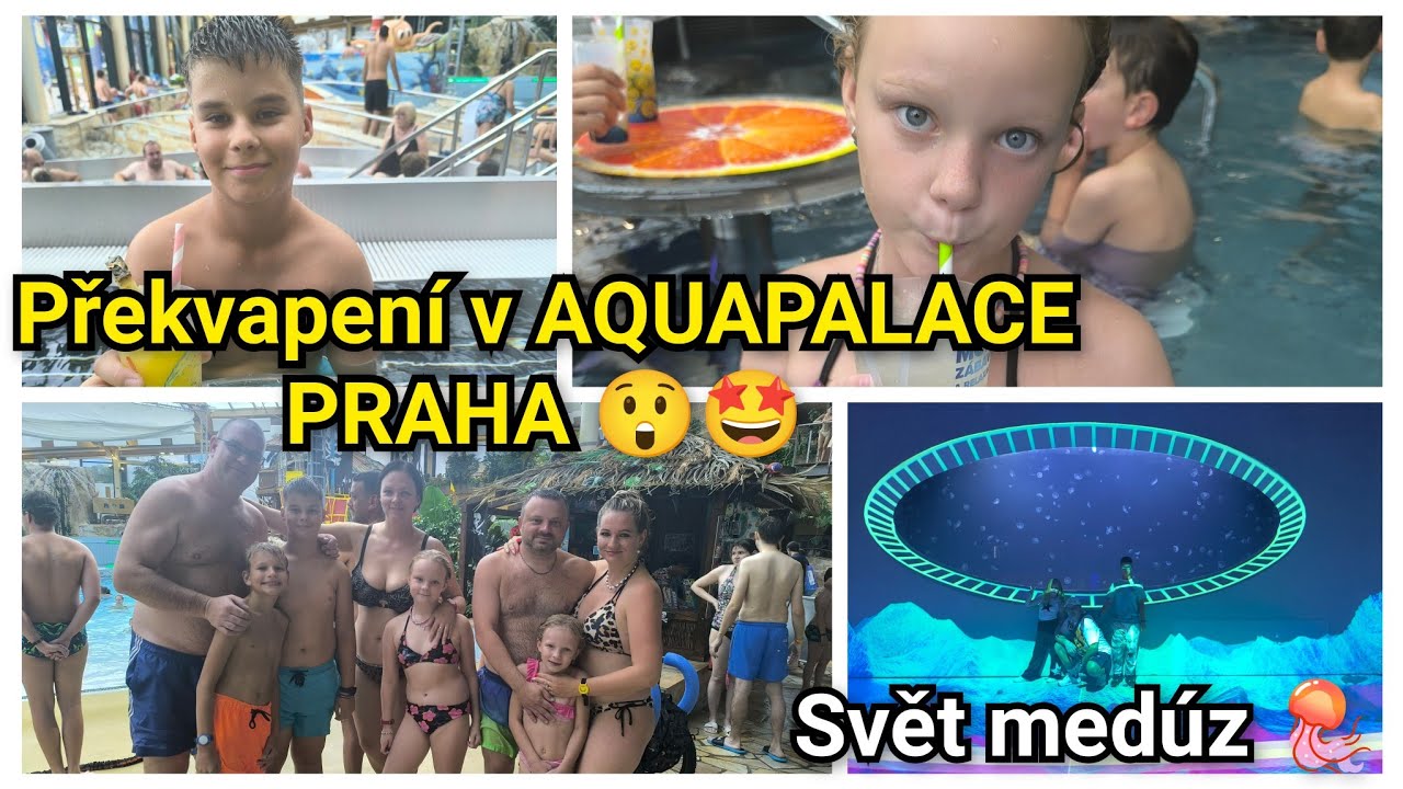 AQUAPALACE PRAHA– ŠOK! Nečekaná návštěva od přátel YouTuberů ❤️ • Svět medúz 🪼 #AquapalacePraha
