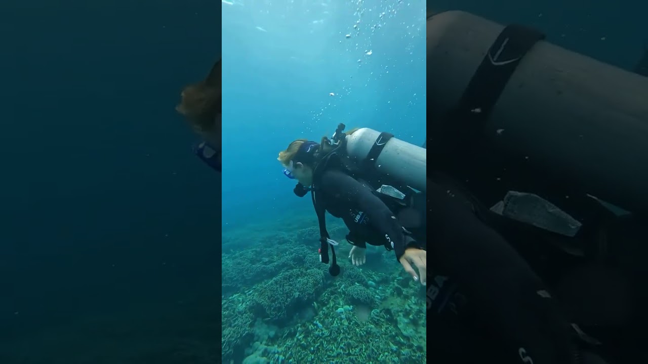 POV: It&rsquo;s your first drift dive 🪸🫡🤿