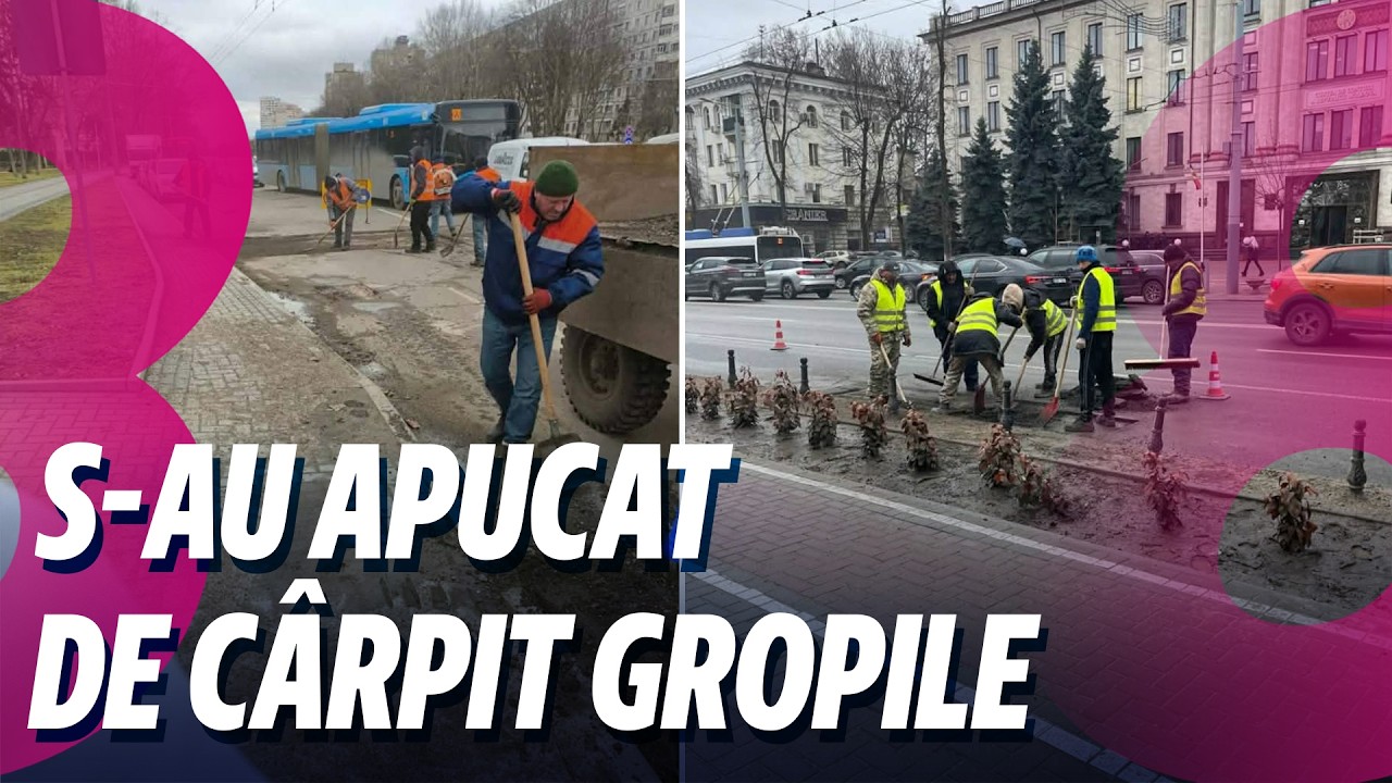Știri: Moldsilva, luată la ochi /Primăria s-a apucat de cârpit gropile /25.02.2026