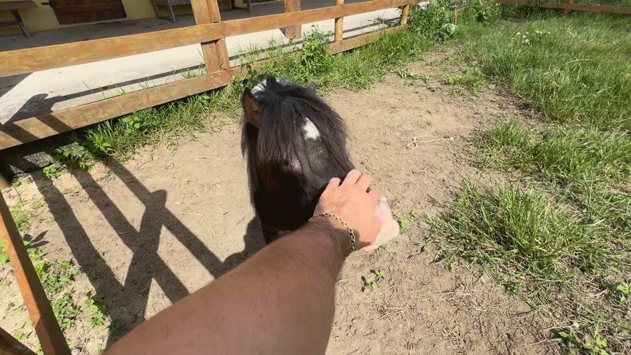 Sítio  a venda em Porto Seguro corretor @matheusthurmbroker 