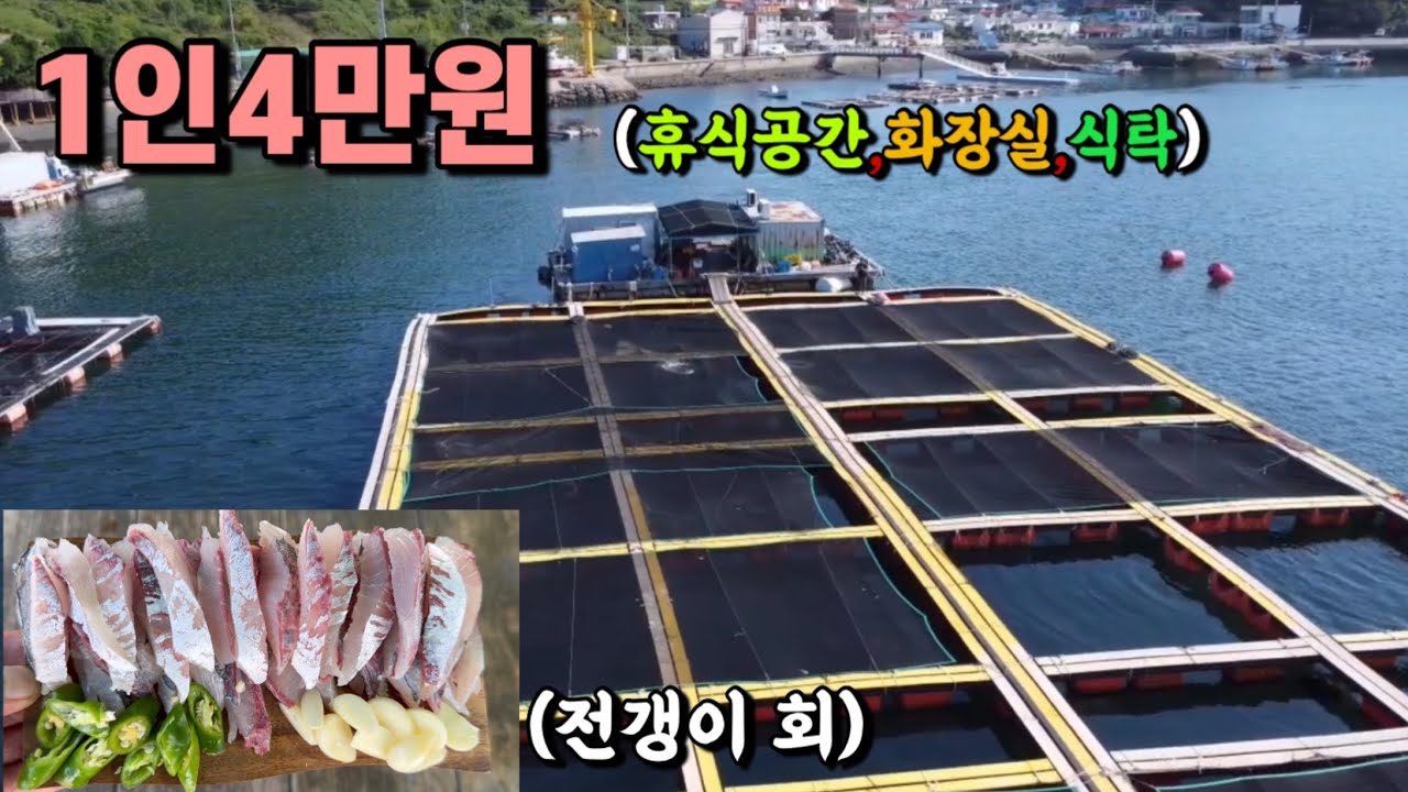 돼지전갱이 입질이 쏟아지는 저렴하고 편안한 좌대낚시터!!(전갱이 회먹방)