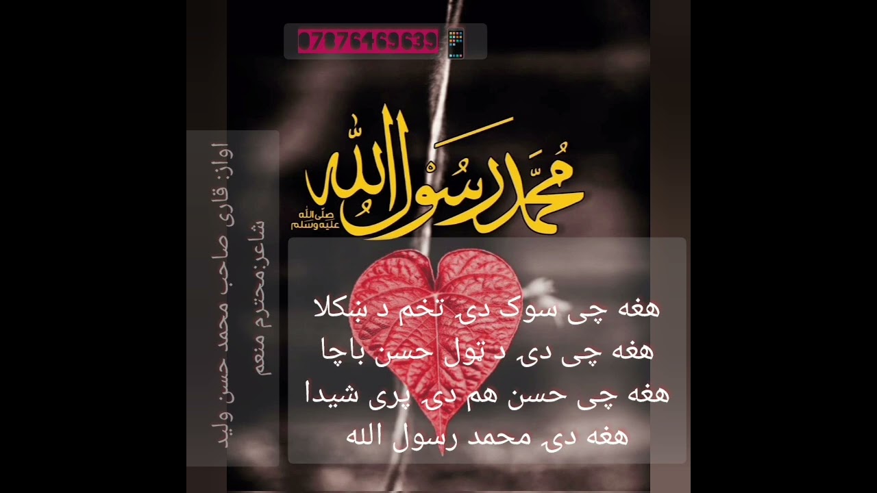 نوی ښکلی نعت شریف  په اواز د قاری حسن ولید هغه چی سوک دۍ تخم د ښکلا