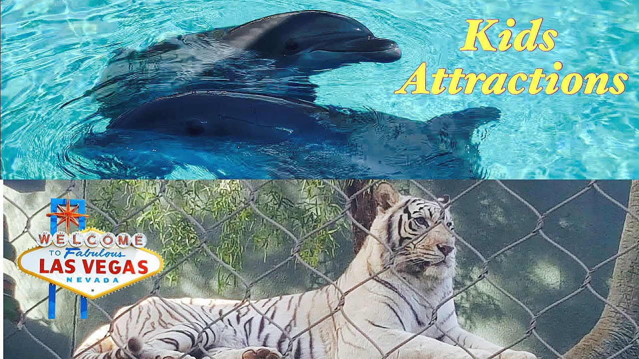 Siegfried & Roy's Secret Garden & Dolphin Habitat -  the Mirage Hotel, Las Vegas