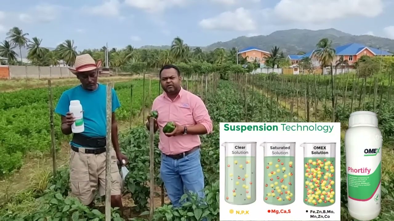 Caribbean Chemicals' Virus Control program (CPZ)