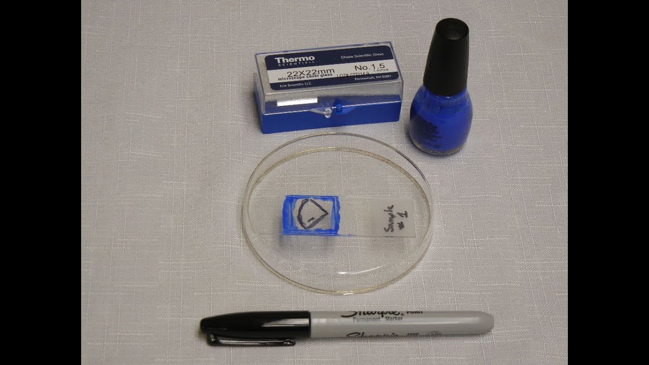 Asbestos Air Sampling Part 4: Sample Filter Mounting Preparation