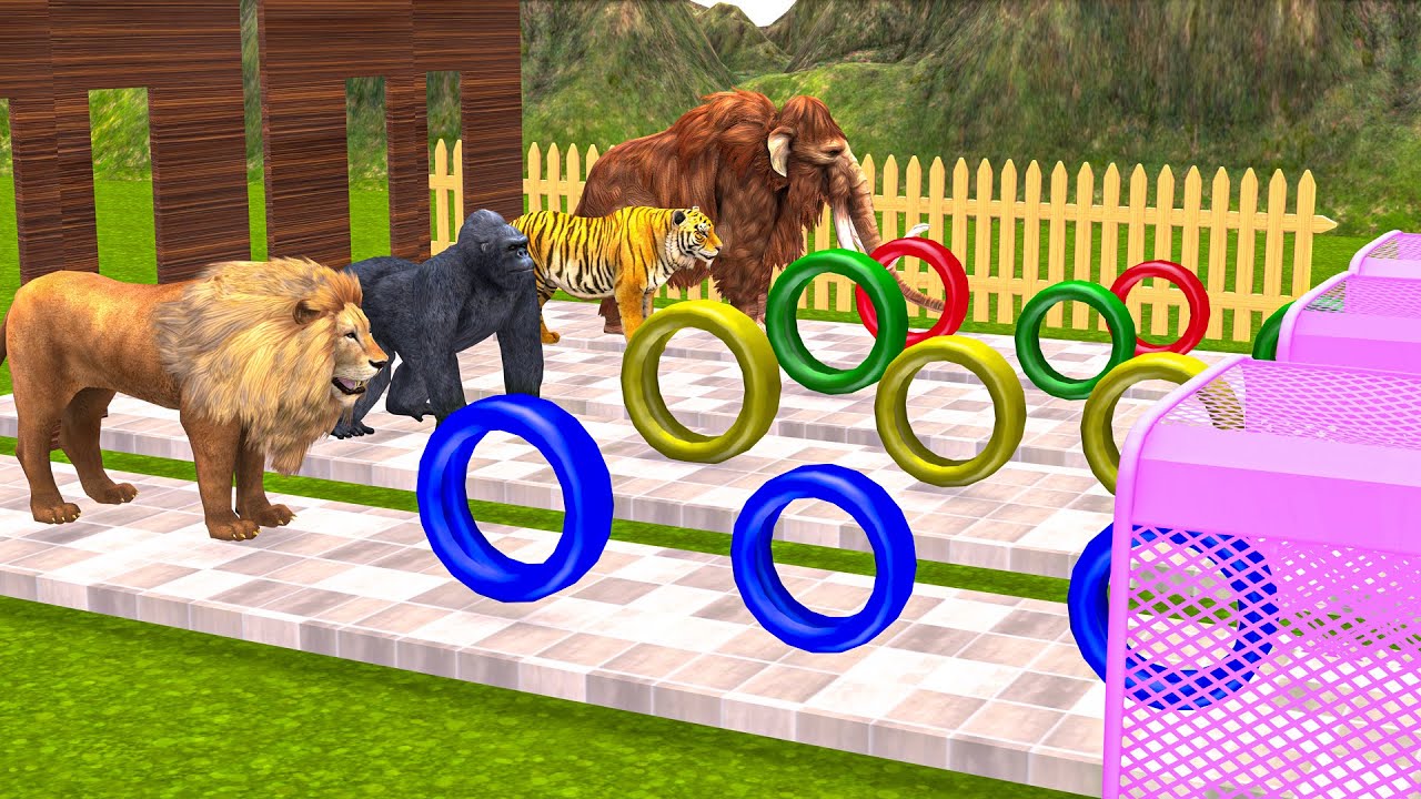 Funny Obstacle Roller Game ! Gorilla , Tiger , Lion , bear Wild Animals Cartoondoodle Tv