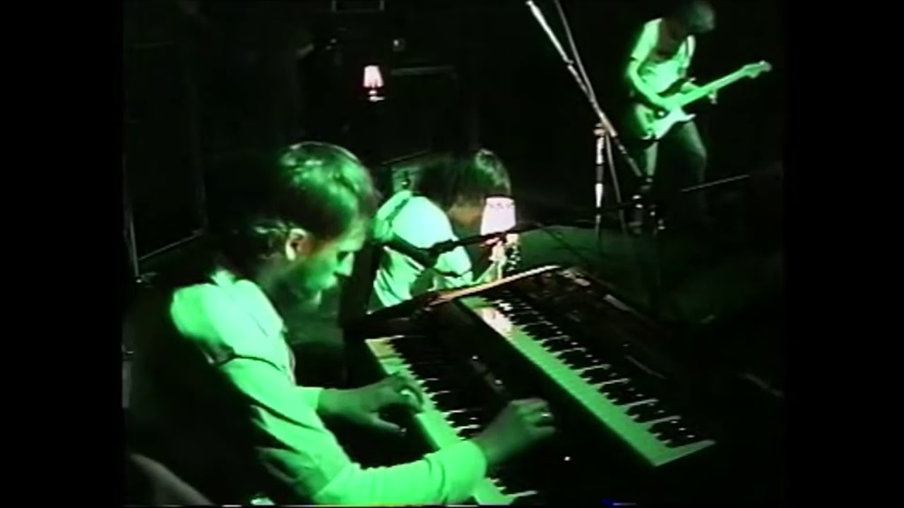 06.Homosapiens - Transglobal Journey Of Marijuana Fish (koncert w Trójce)