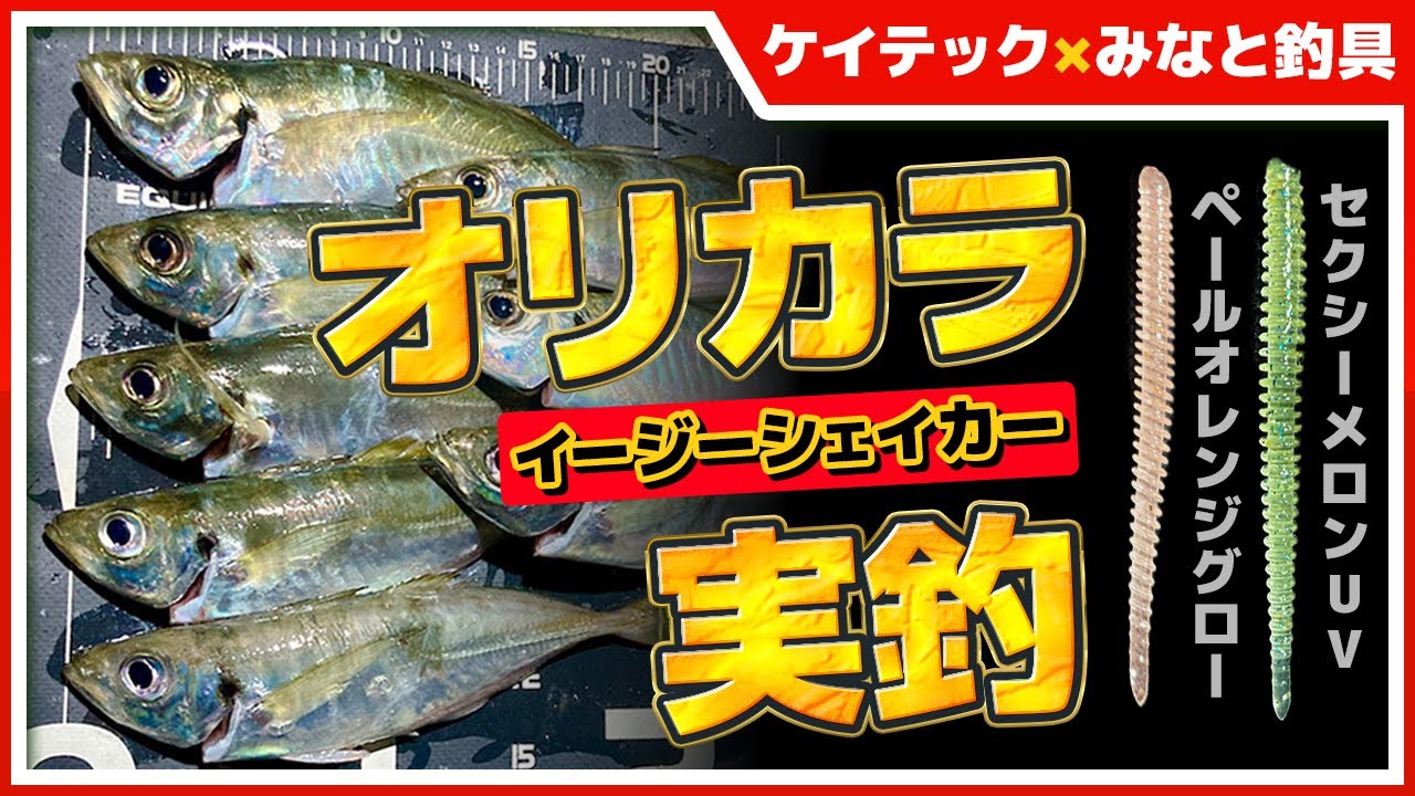 【アジング】まだまだアジは居る!イージーシェイカーオリカラを投入すると…【淡路島】