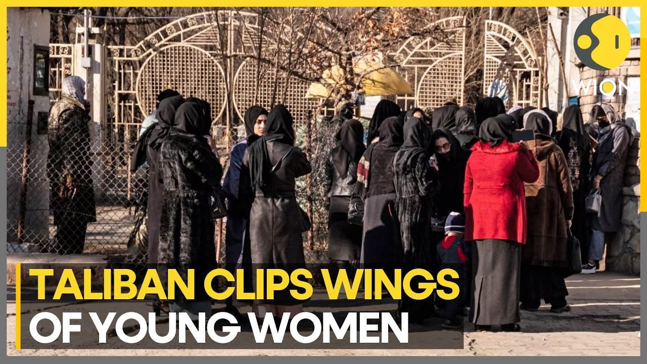 Afghanistan: Taliban stops female students travelling to University of Dubai | Latest News | WION