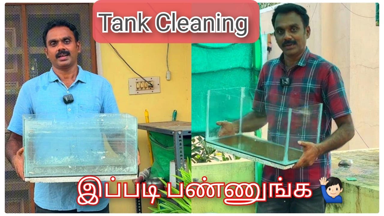 DIY Aquarium Glass Cleaning Hack
