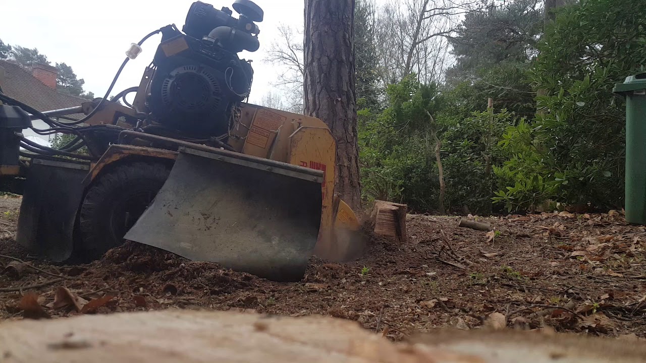Rayco 1625 with Green Teeth