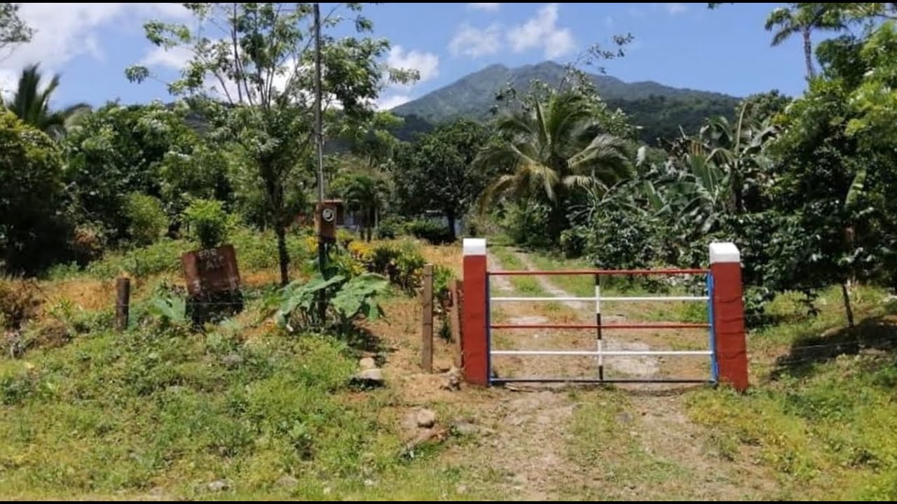 Finca con Casa, Mucha Agua y &Aacute;rboles Frutales en Venta Una Buena Oportunidad