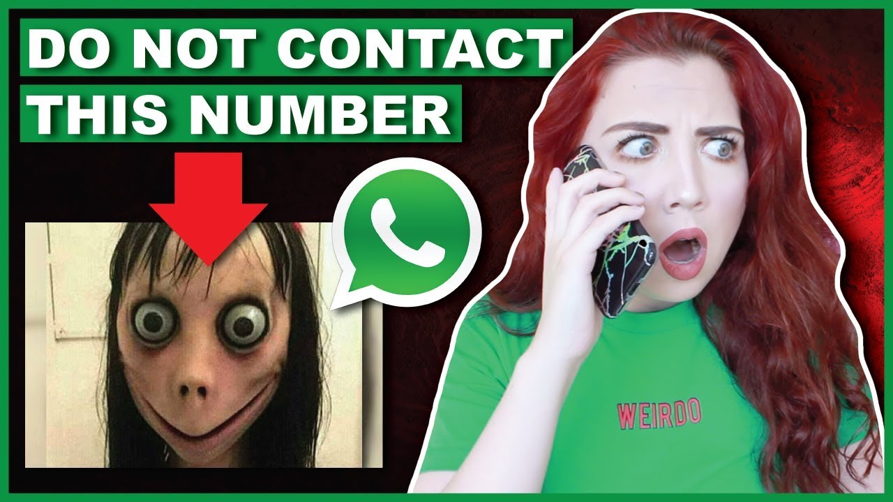 DO NOT Contact Momo | Scary Phone Number