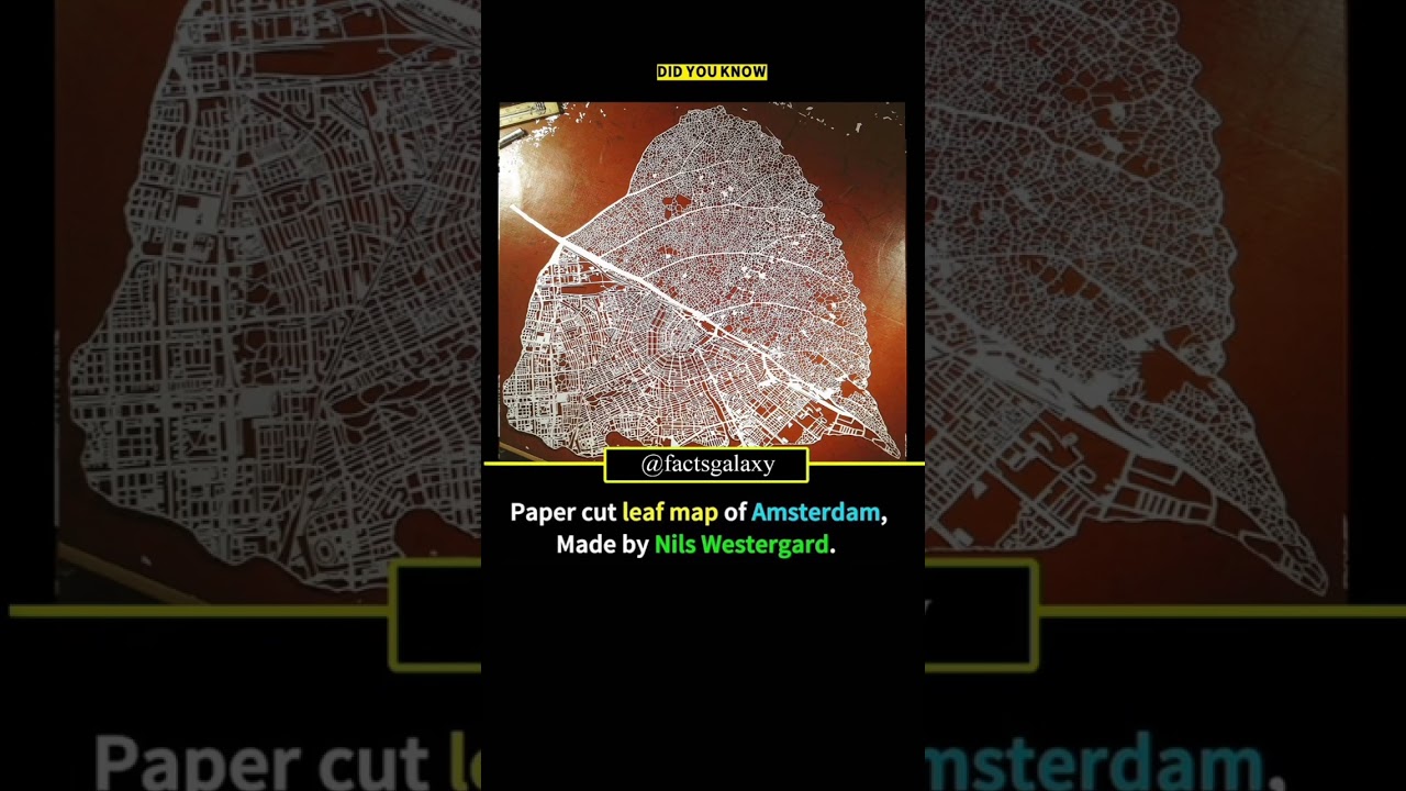Paper cut leaf map of Amsterdam, Made by Nils Westergard. #memes #papercraft #amsterdam #mapping