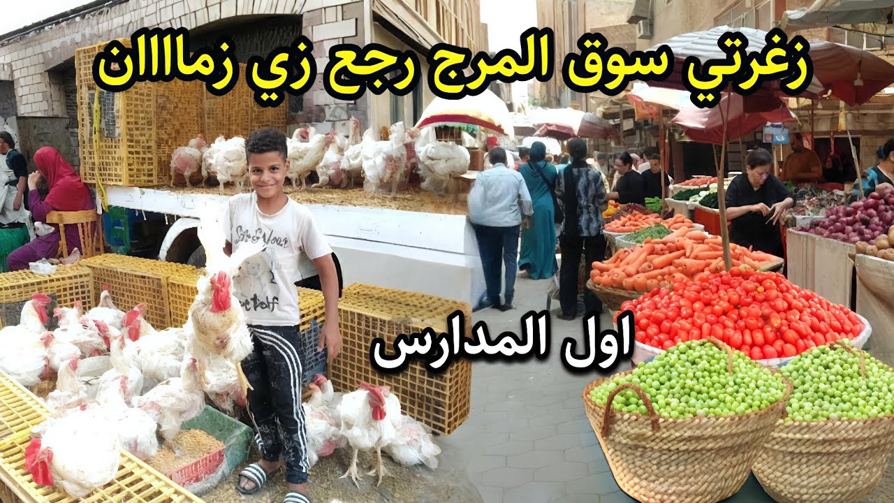 صدمة😱 الاسعار اتشقلبت فجأة في سوق المرج شوف بنفسك الفراخ بكام والسمك والجبنه والزيتون 🌿