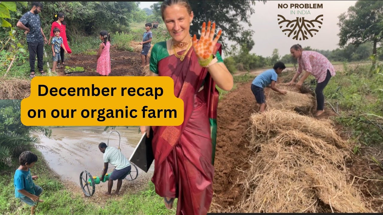 From rain to rainbows: December 2024 recap on our farm