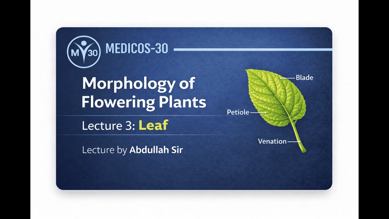 L-3 Leaf | Morphology of Flowering Plants | NEET Biology  #morphologyoffloweringplants