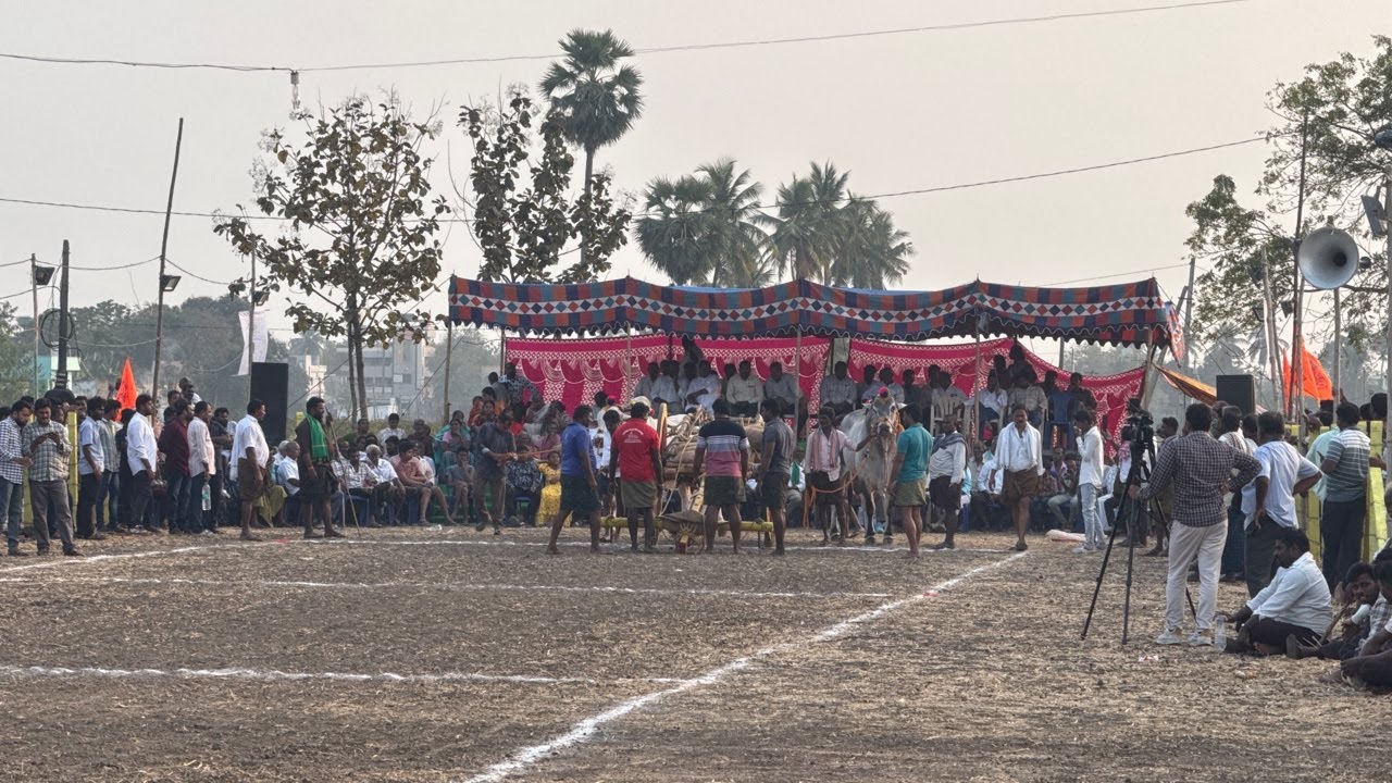 Uppuluru Race | 6వ జత | kiran reddy garu | kallamvaripalem | 2900 |
