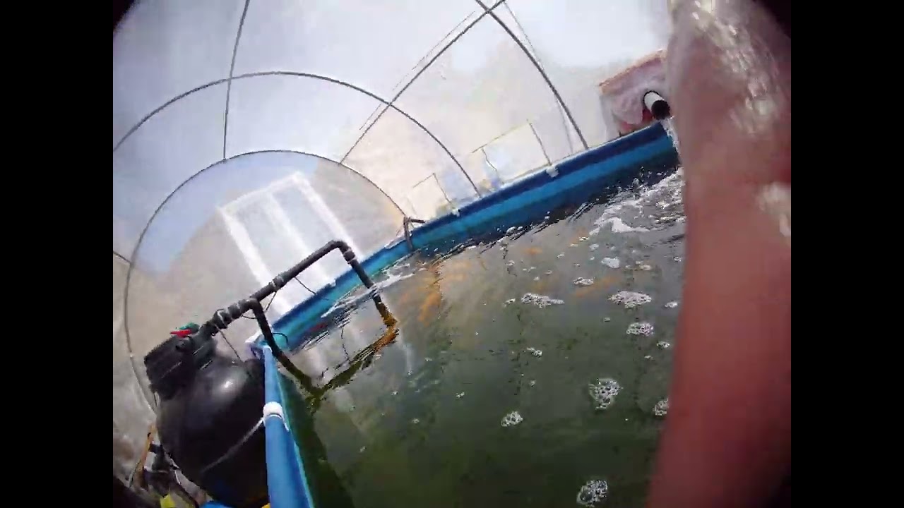 grow on pond
