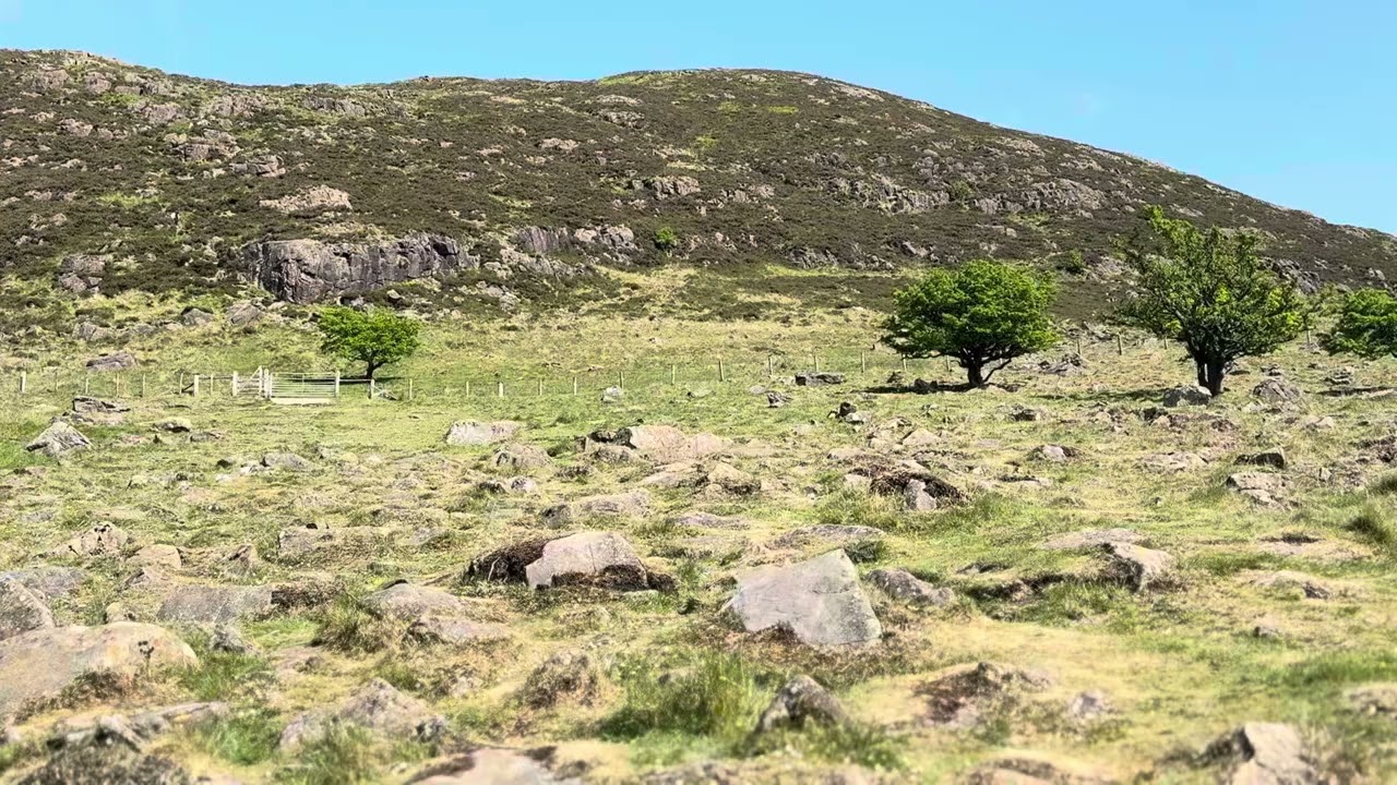 Slemish Mountain Walk
